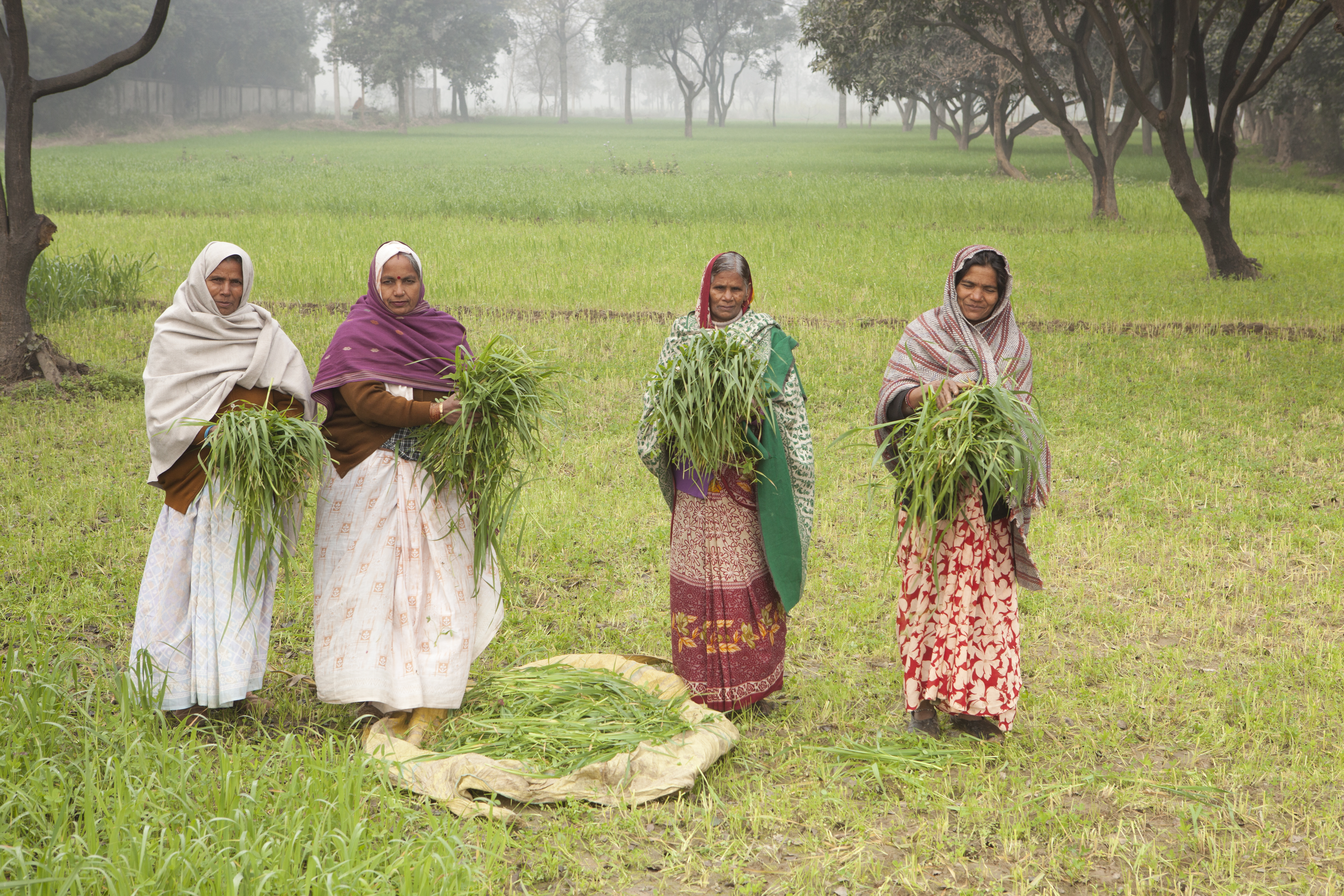 Visibility of Women in Agriculture image